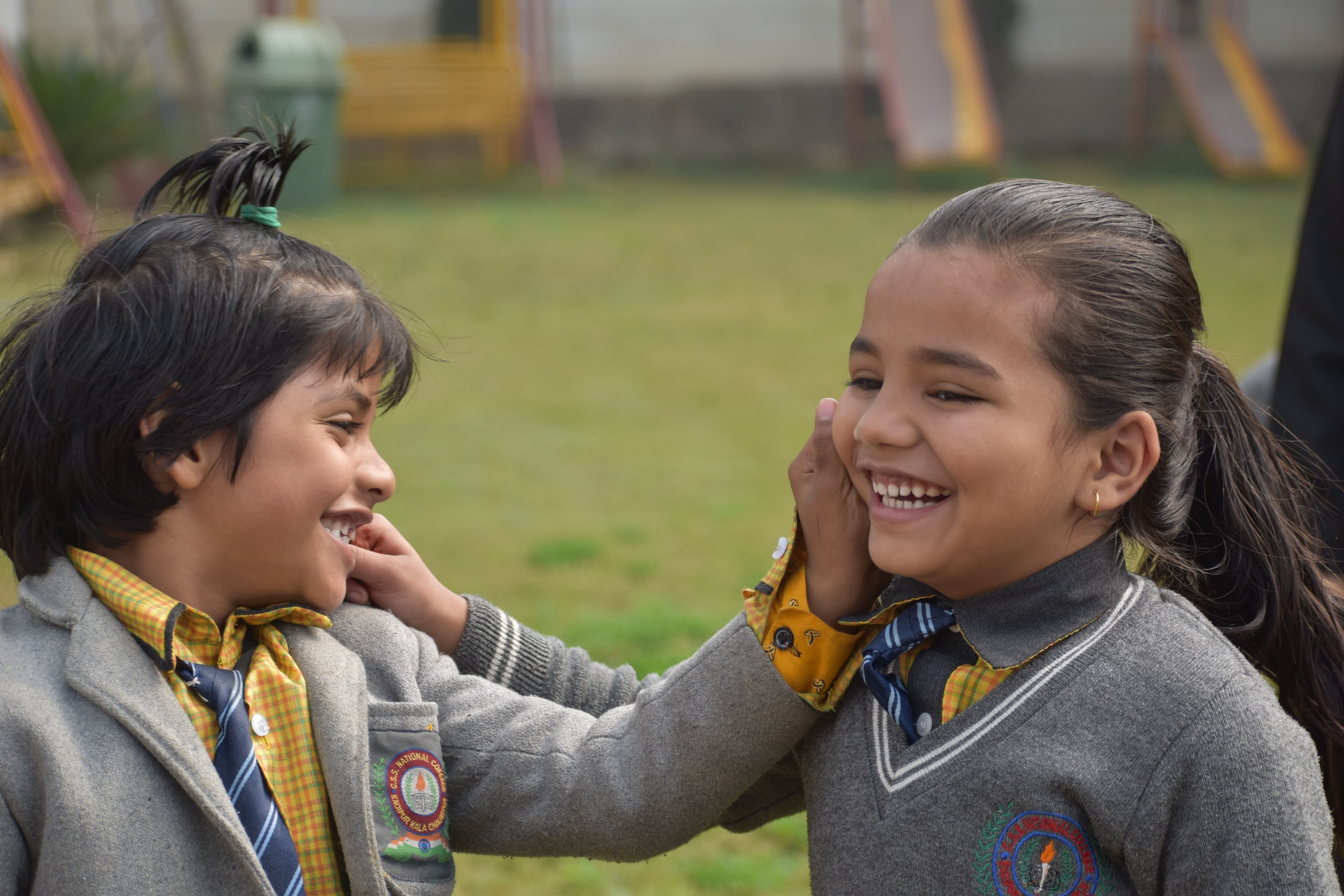 CHANDRA SHEKHAR SINGH NATIONAL COLLEGE